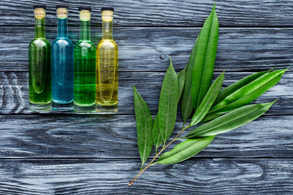 Reihe farbiger Flaschen mit natürlichen ätherischen Kräuterölen und Zweigen mit grünen Blättern auf Holzoberfläche - Foto, Bild