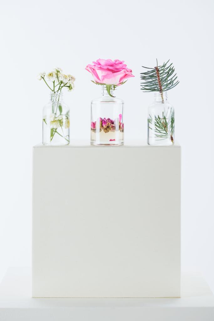 three bottles of natural herbal essential oils with chamomile flowers, roses and fir twig on white cube - Photo, Image