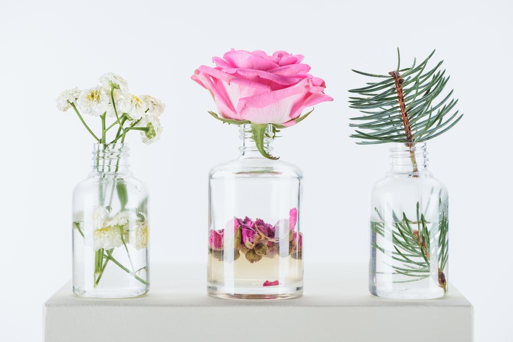 garrafas transparentes de óleos essenciais naturais à base de plantas com flores de camomila, rosas e galho de abeto em cubo branco
 - Foto, Imagem
