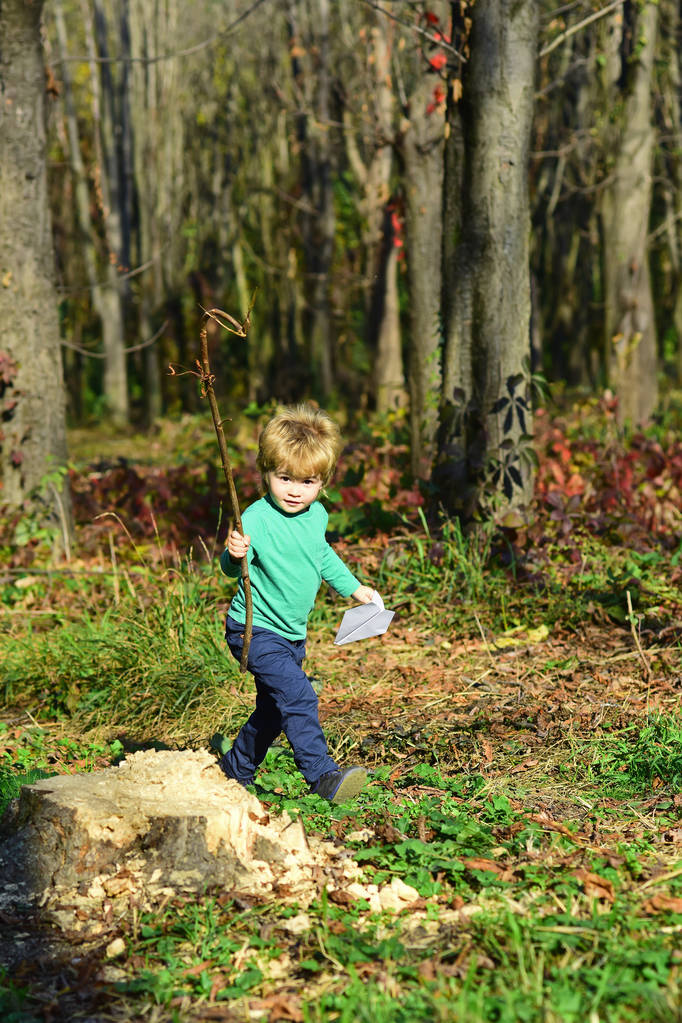 森の中で子供の散歩。小さな子供は、新鮮な空気で再生します。Taveler と冒険家 - 写真・画像