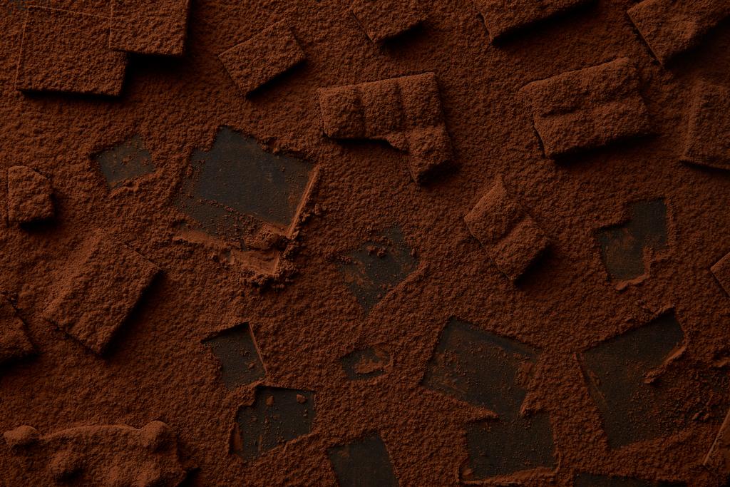 вид зверху смачні шоколадні шматочки та какао-порошок
  - Фото, зображення