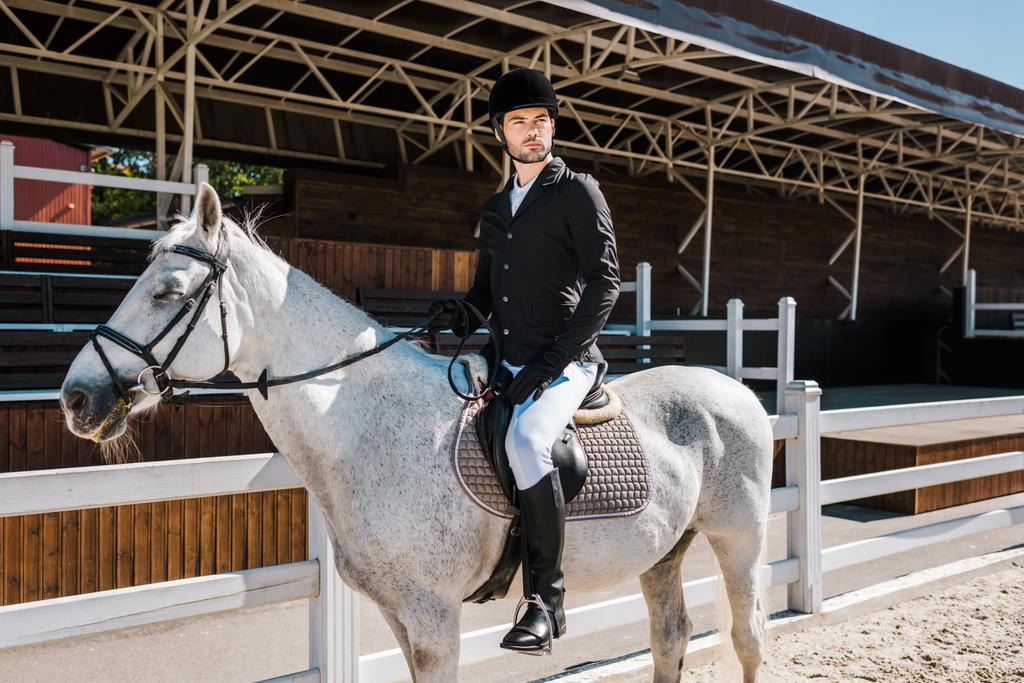 handsome male equestrian riding white horse at horse club - Photo, Image