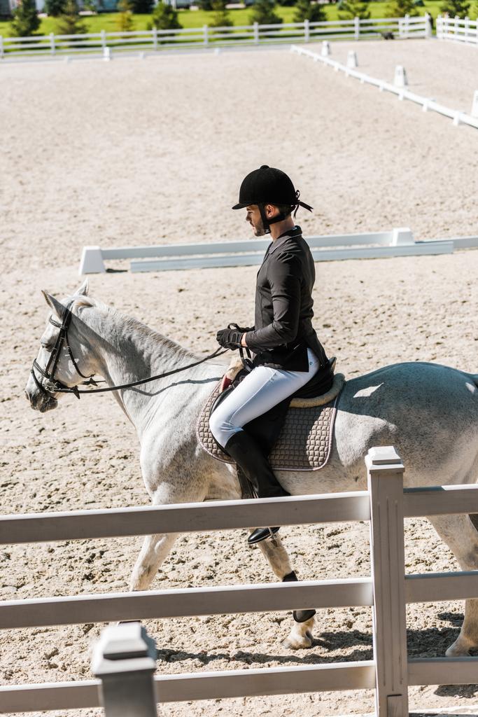 vue latérale de beau cheval masculin dans le casque d'équitation, veste noire et culotte blanche cheval d'équitation au club de cheval
 - Photo, image