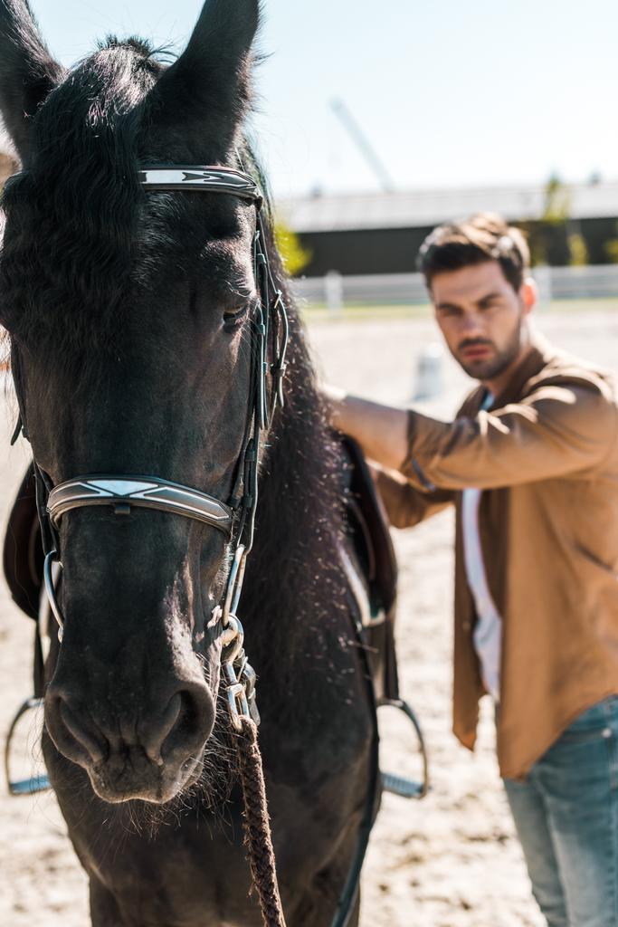 selective focus of handsome male equestrian fixing horse saddle at ranch - Photo, Image