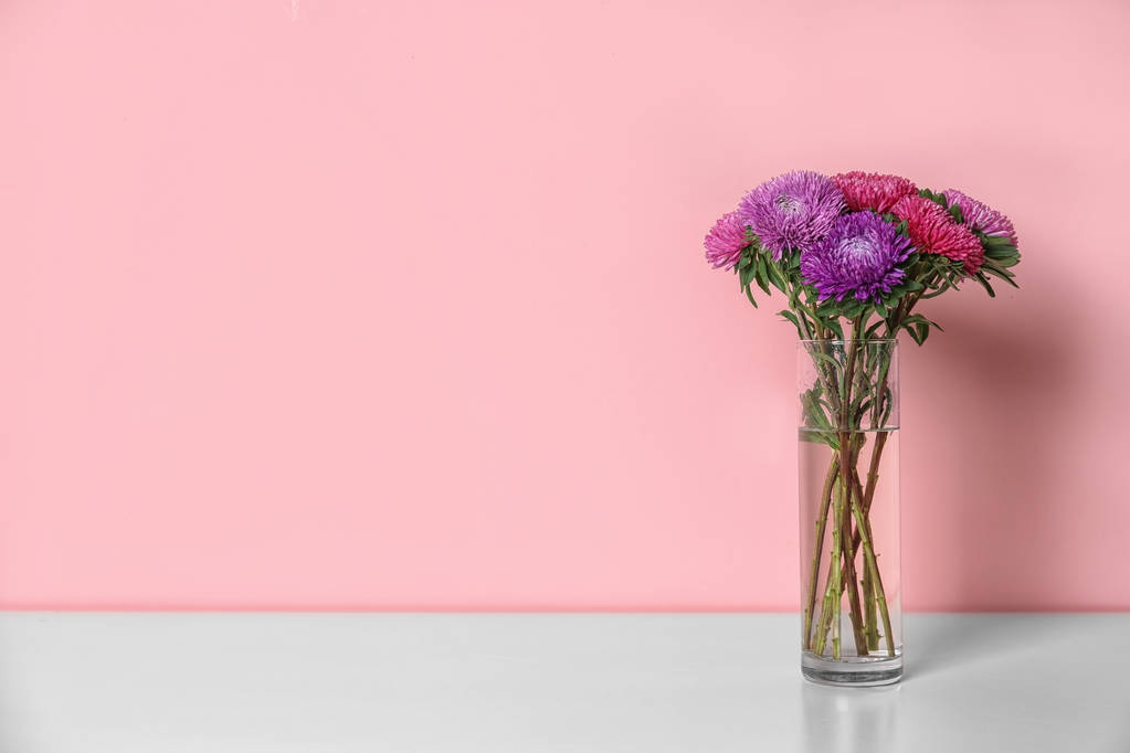 Beautiful flowers in vase and space for text on color background. Element of interior design - Photo, Image