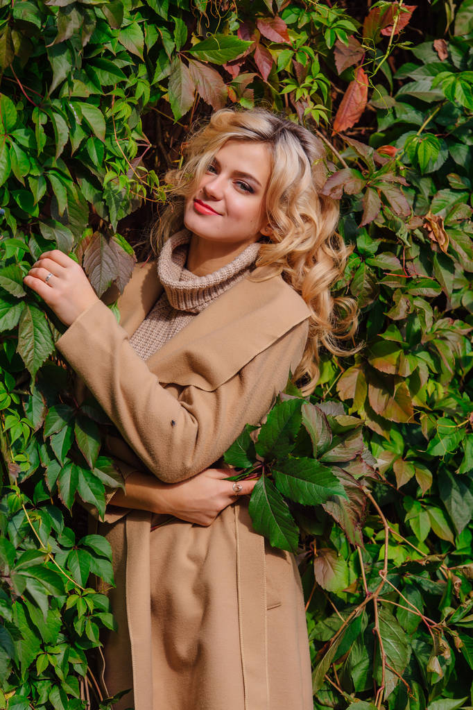 Jeune belle femme en pull et manteau se tient à côté du fond de raisins sauvages tenant bouquet de feuilles d'automne dans le parc
 - Photo, image