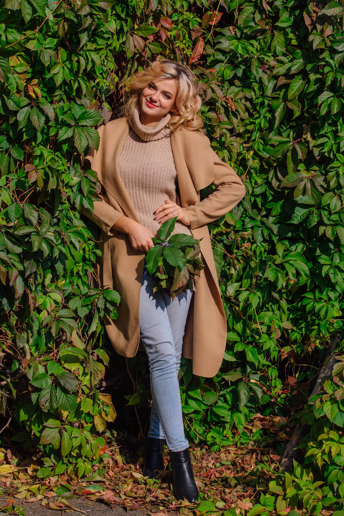 Joven hermosa mujer en suéter y abrigo se encuentra junto al fondo de las uvas silvestres que sostienen ramo de hojas de otoño en el parque
 - Foto, Imagen
