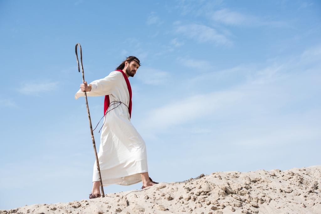 vista lateral de Jesus em roupão, faixa vermelha e coroa de espinhos andando sobre colina arenosa com cajado de madeira no deserto
 - Foto, Imagem