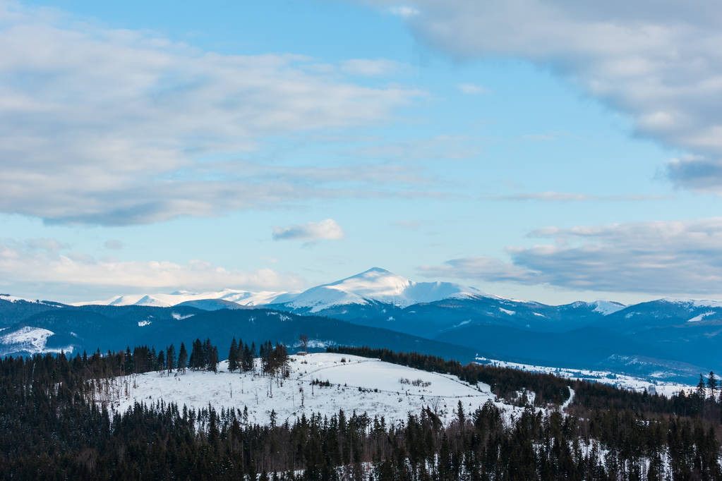 Το βράδυ Λυκόφως χειμώνα συννεφιασμένη μέρα χιονιού καλύπτονται alp κορυφογραμμή του βουνού (Ουκρανία, Καρπάθια Όρη, Chornohora σειρά - Hoverla και άλλες αναρτήσεις, θέα τοπίο από Yablunytsia pass). - Φωτογραφία, εικόνα