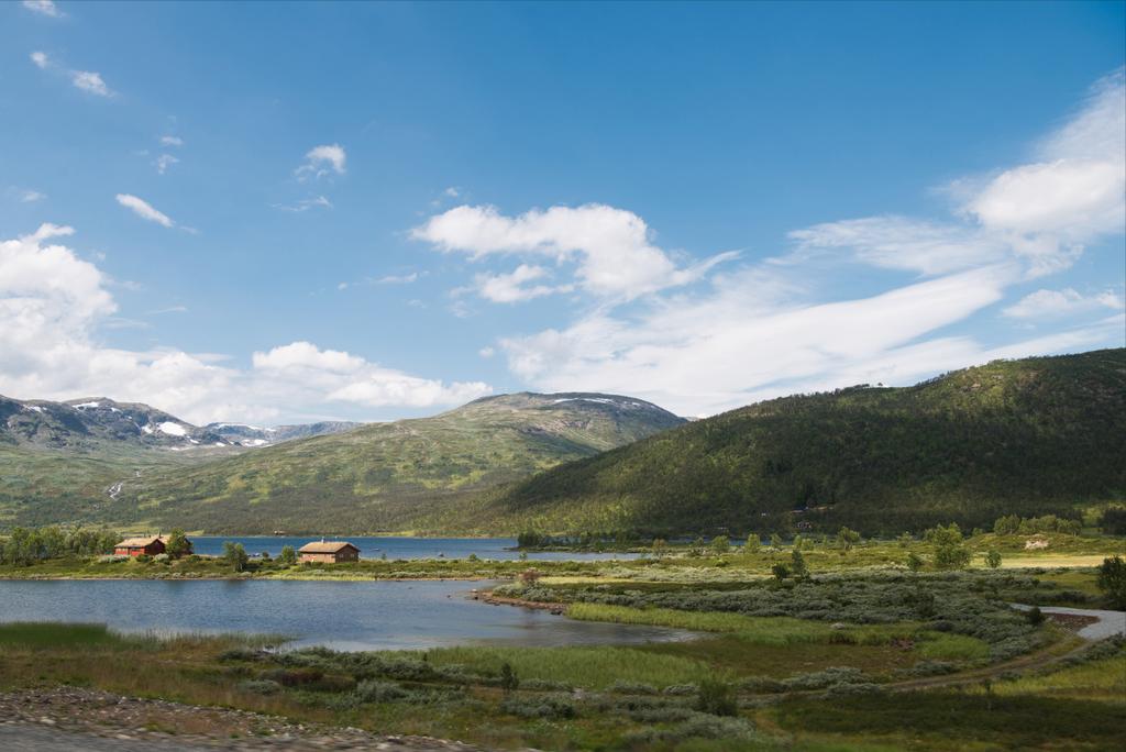 kaukainen näkymä rakennuksiin ja vihreisiin vuoriin sinisen taivaan alla, Hallingskarvet kansallispuisto, Norja
 - Valokuva, kuva
