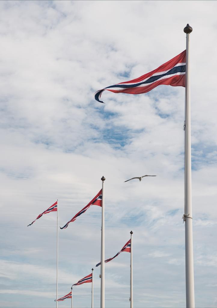flags - Photo, Image