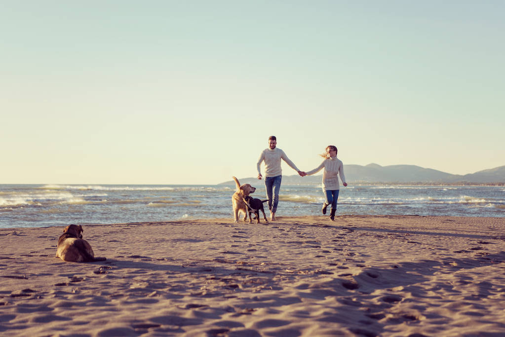 Coppia che corre sulla spiaggia tenendo le mani con il cane il giorno autmun - Foto, immagini