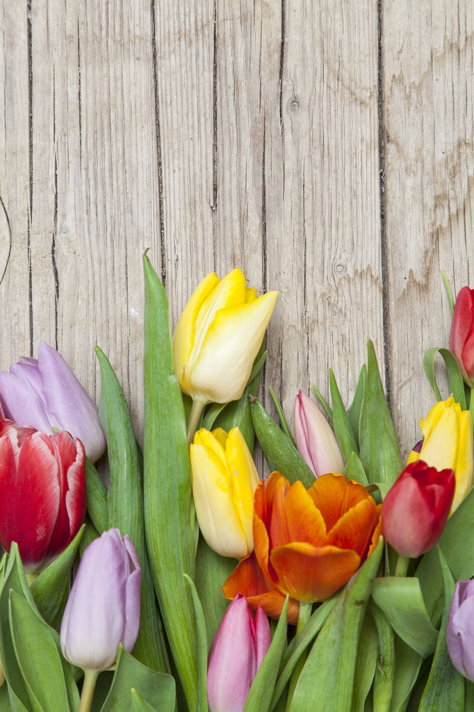 куча свежих красочных тюльпанов на деревянном фоне
  - Фото, изображение