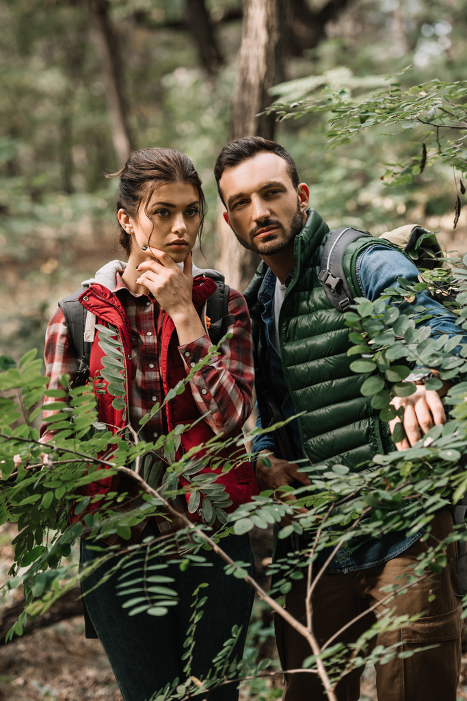 portrait of couple of young travelers with backpacks hiking in woods - Photo, Image