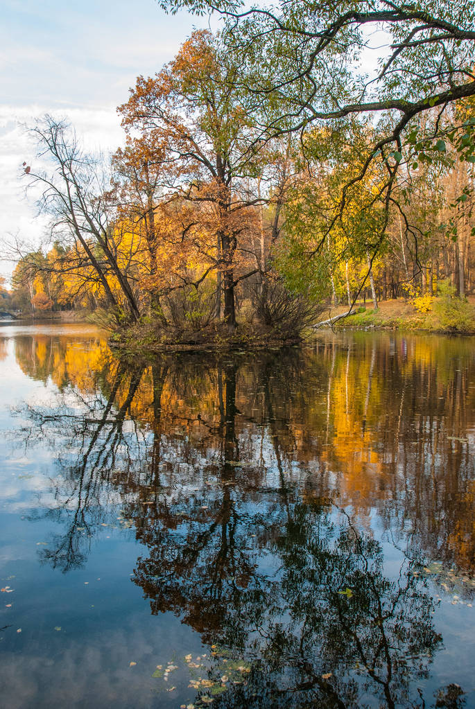 Insel mit Bäumen auf dem Teich spiegelt sich im Wasser - Foto, Bild