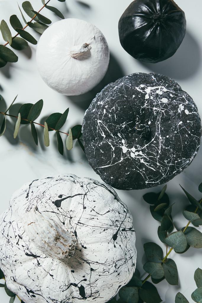 top view of black and white pumpkins with paint splatters and eucalyptus, traditional halloween decoration - Photo, Image