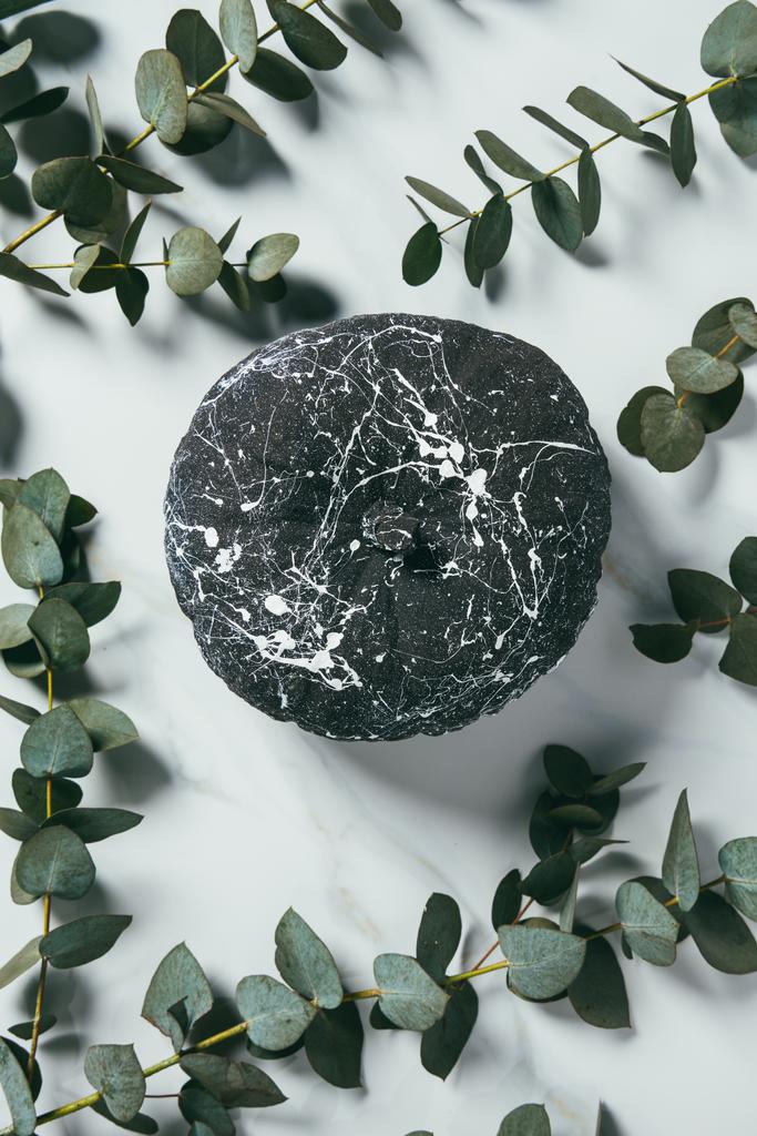 pohled shora černý dýně s barvou fleky s eucalyptus listy, halloween dekorace - Fotografie, Obrázek