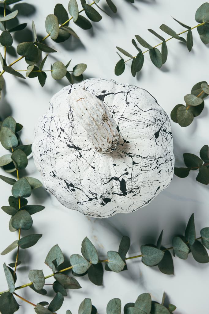 вид зверху на білий гарбуз з фарбами, розташованими з листя евкаліпта, декор Хеллоуїна
 - Фото, зображення