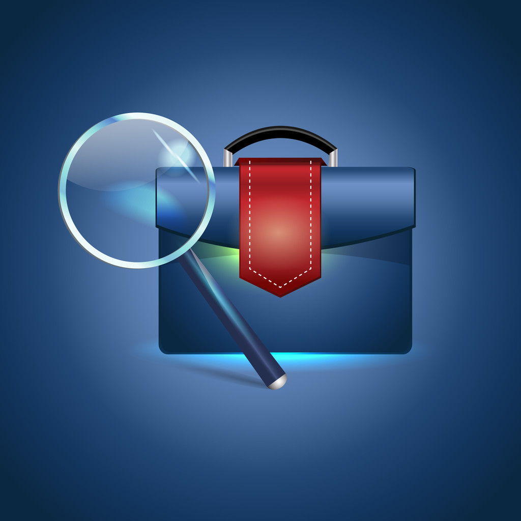 Briefcase and magnifying glass, vector - Vector, Image