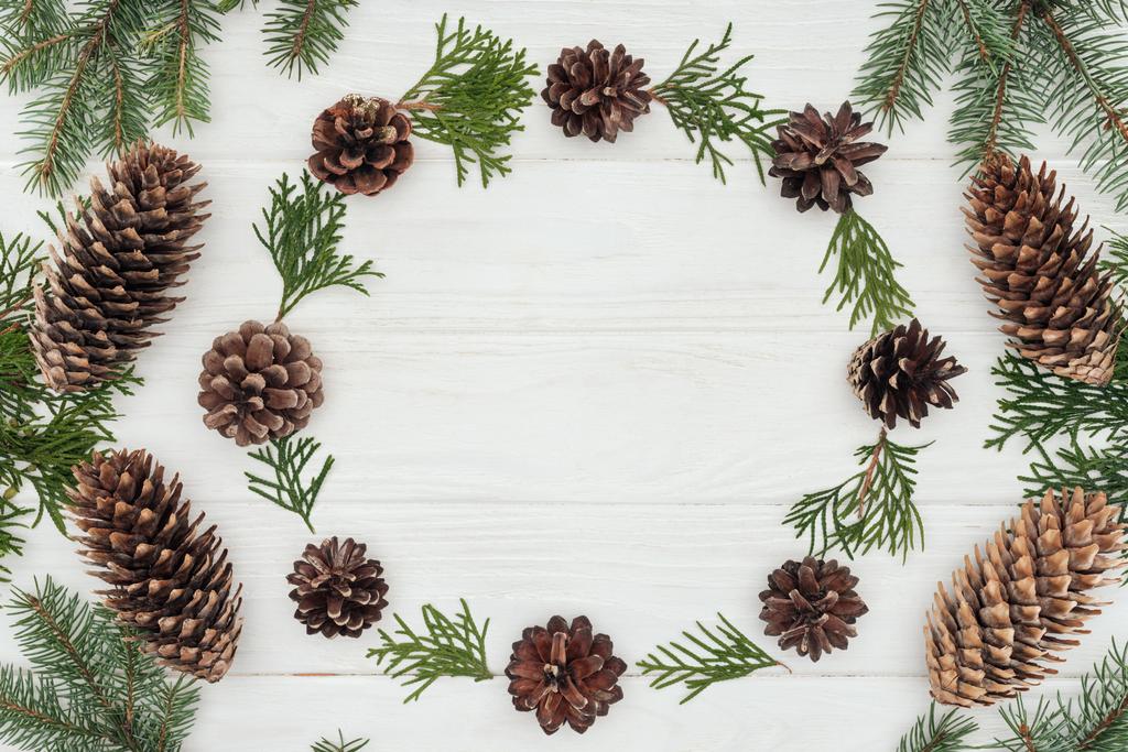 beautiful evergreen coniferous twigs and pine cones on white wooden background   - Photo, Image