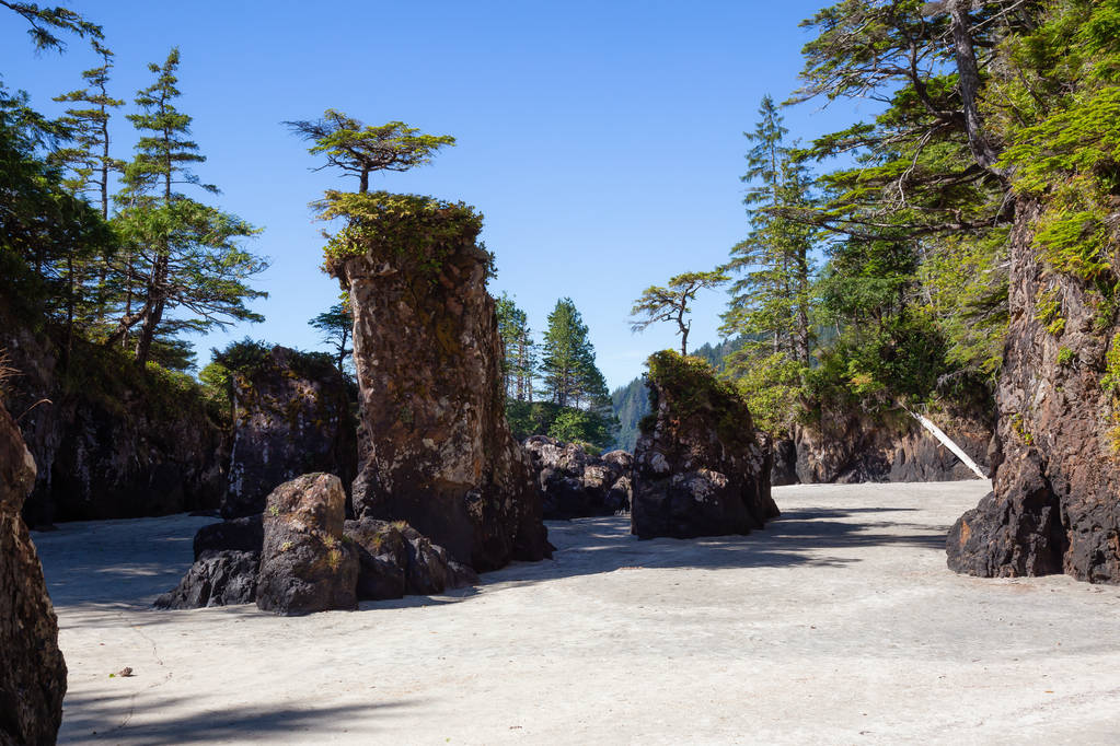 Hermosa vista del paisaje marino de la playa rocosa en la costa del océano Pacífico. Tomado en San Josef Bay, Cape Scott Provincial Park, Northern Vancouver Island, BC, Canadá
. - Foto, imagen
