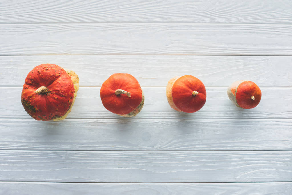 vista elevata di piccole zucche autunnali arancioni in fila su un tavolo di legno
  - Foto, immagini