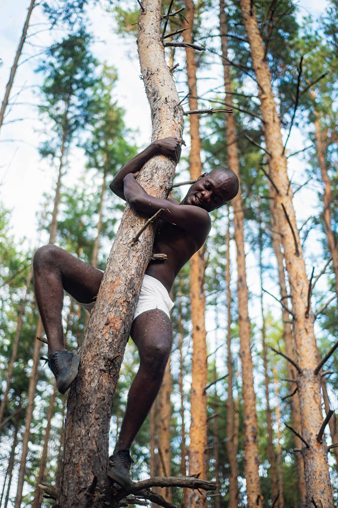 Homme noir sans chemise grimpe un arbre
 - Photo, image