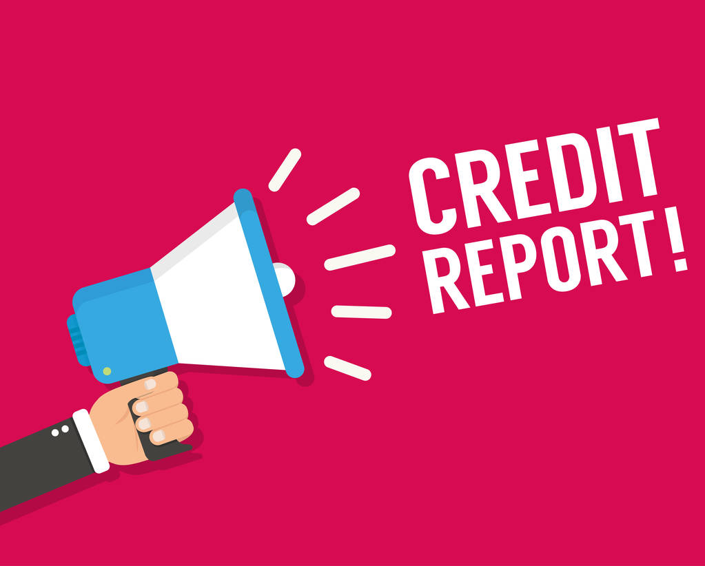 Credit Report, icono en estilo plano
 - Vector, imagen