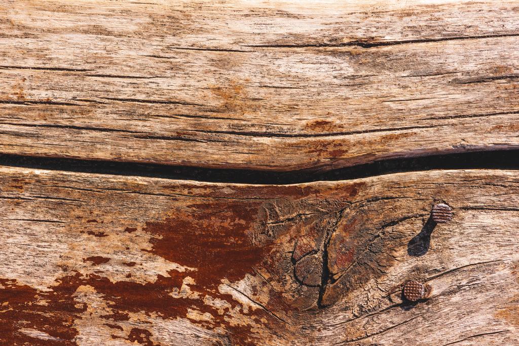 Zbliżenie na lekkie brązowe Kora drzewa z pęknięć - Zdjęcie, obraz