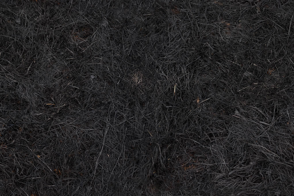 spálené černé trávě v poli vedle sebe - cyklický textury - Fotografie, Obrázek