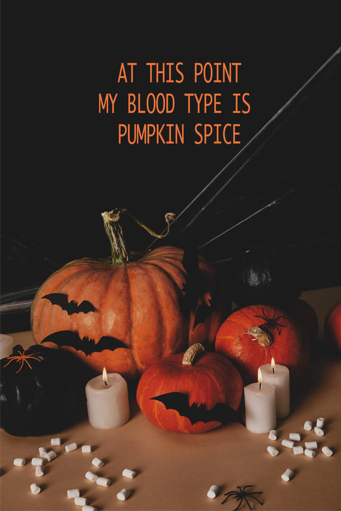 calabazas, murciélagos de papel, araña y tela de araña en la mesa con "en este punto mi tipo de sangre es especia de calabaza" letras de halloween
 - Foto, Imagen