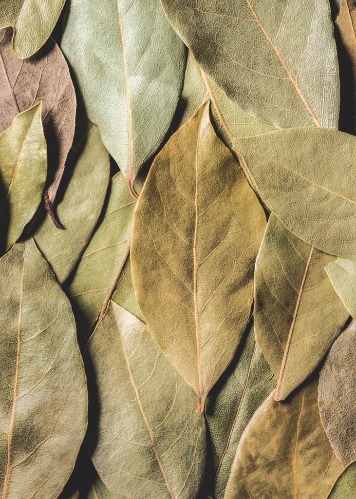 повний вигляд рамки ароматного висушеного листя бухти фону
 - Фото, зображення