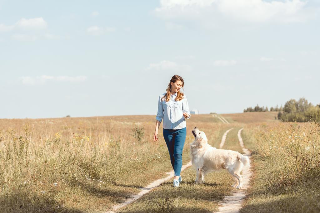 piękna kobieta dorosłych chodzenie przez pole z retriever pies - Zdjęcie, obraz