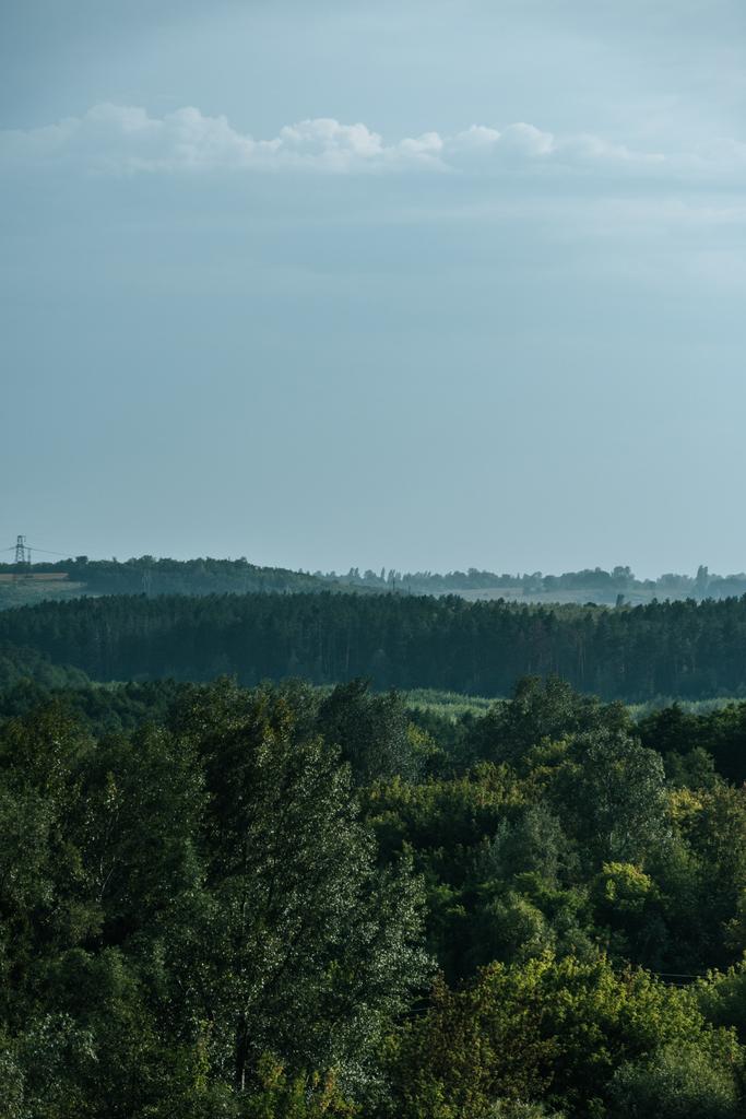 Widok z lotu ptaka z zielonego lasu i niebo jesienią - Zdjęcie, obraz