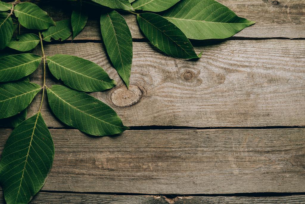 pohled shora krásné zelené ořechové listy na dřevěný stůl  - Fotografie, Obrázek