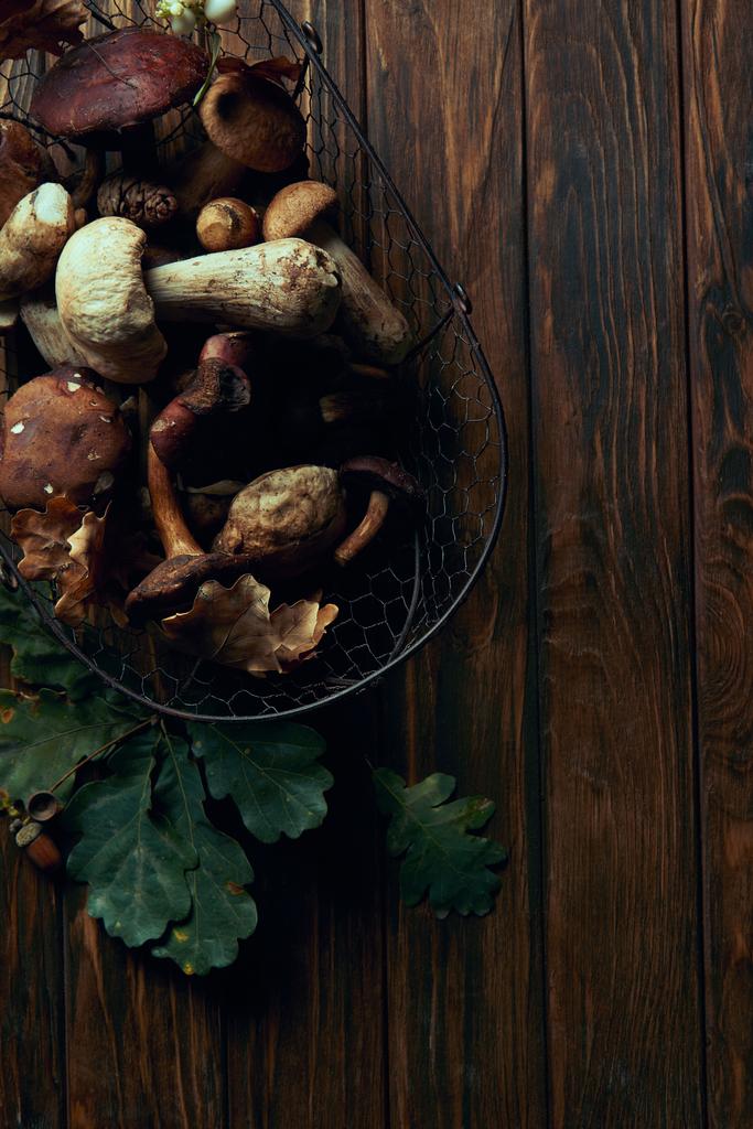 верхний вид свежих съедобных грибов в корзине и зеленых дубовых листьев на деревянном столе
 - Фото, изображение