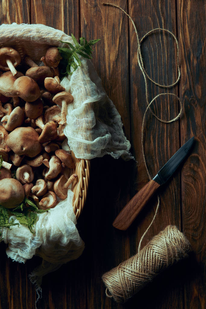 木製のテーブルに選んだ新鮮なキノコ、ナイフ、ロープの上から見る  - 写真・画像