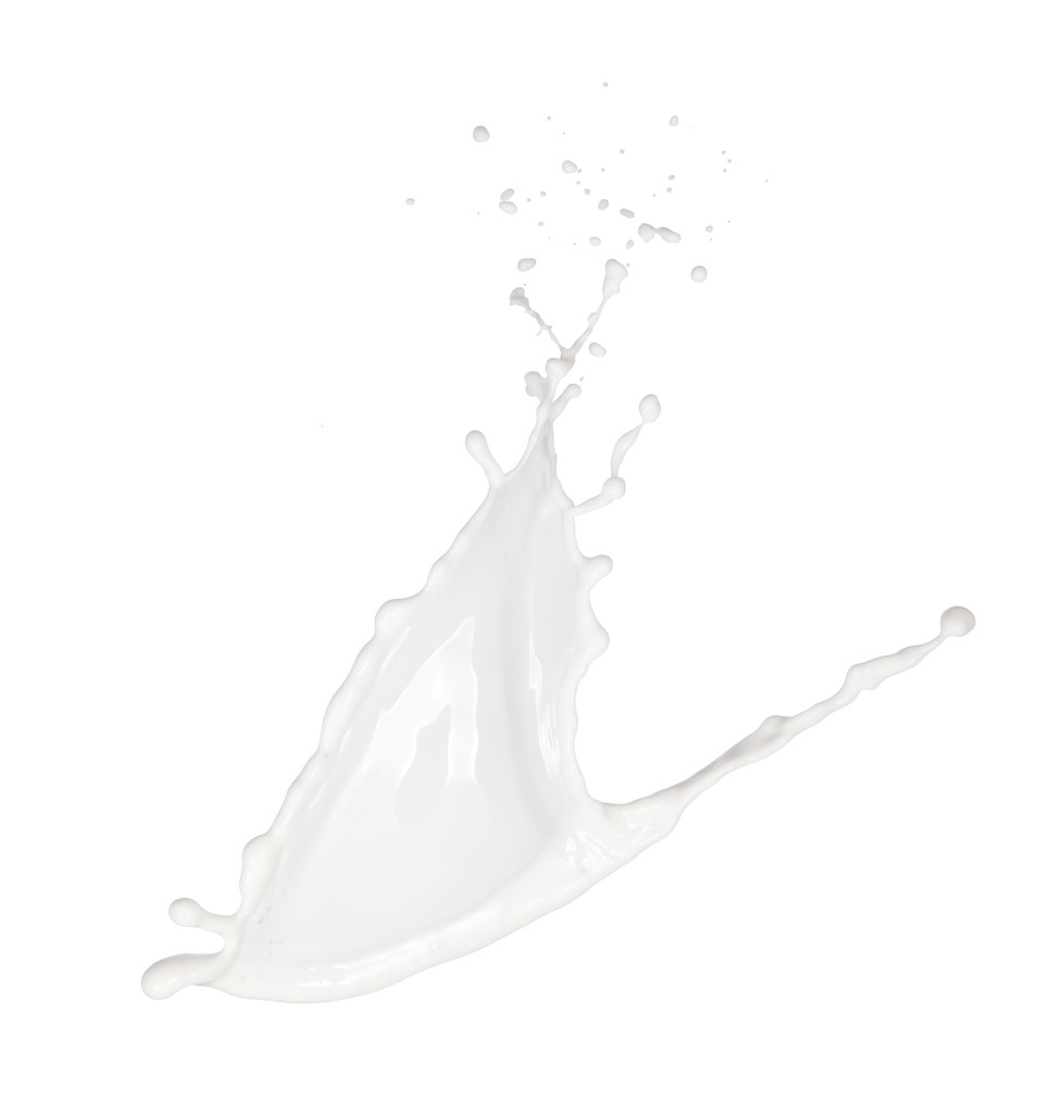 Salpicaduras de leche aisladas sobre fondo blanco
 - Foto, imagen