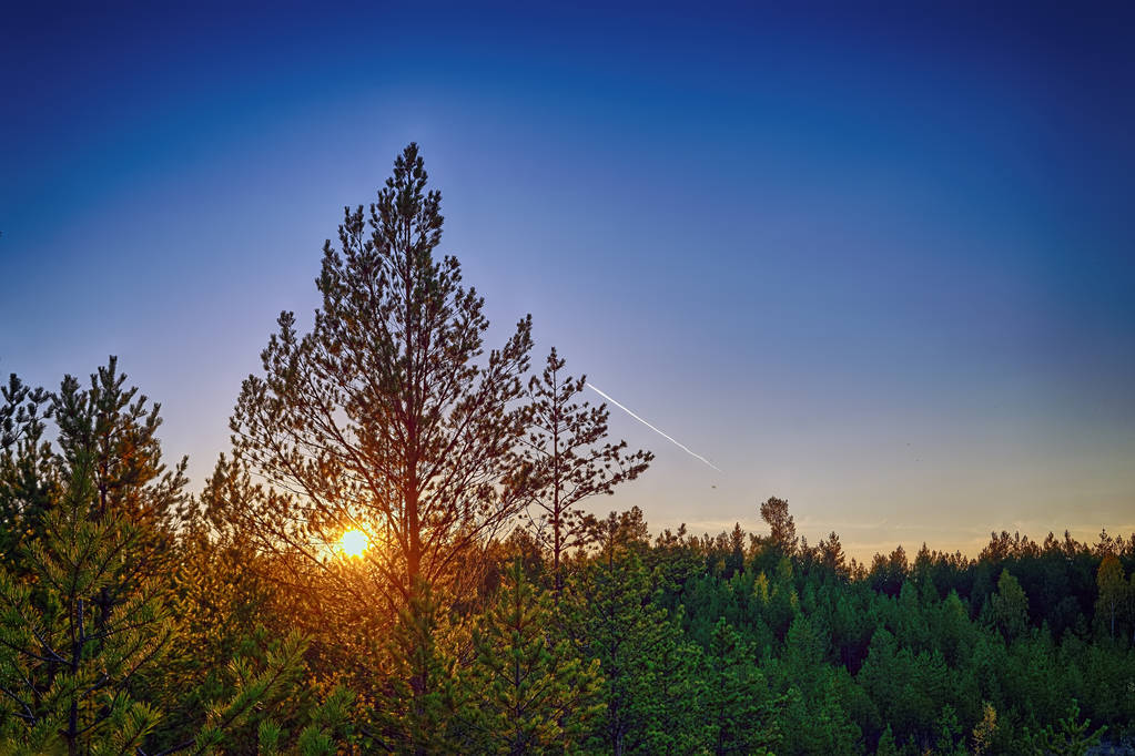 Syksyn maisema auringonlasku metsässä järven rannalla
 - Valokuva, kuva