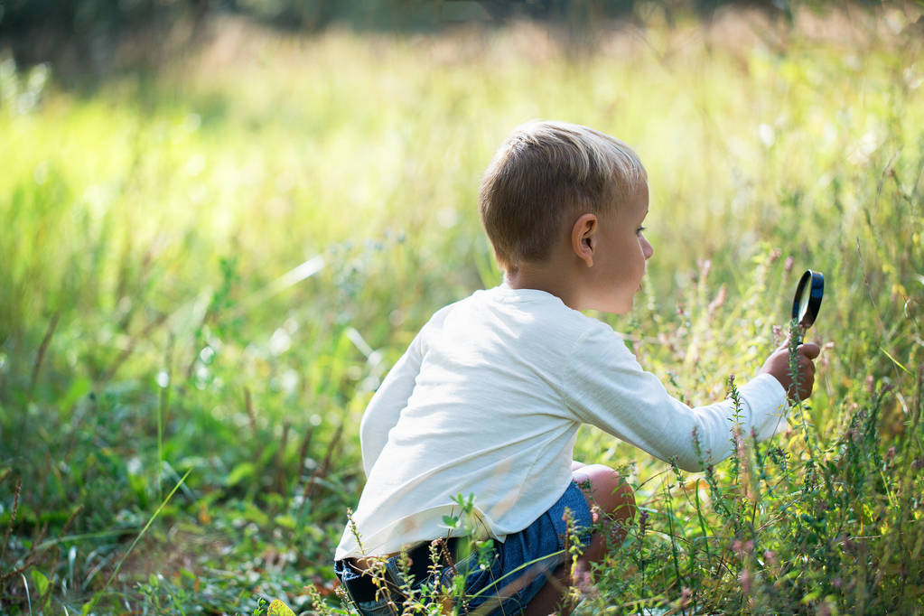 Küçük bir çocuk olan Büyüteç araştırıyor bitkiler ve böcekler, flora ve fauna güneşli bir günde bir çayır üzerinde - Fotoğraf, Görsel