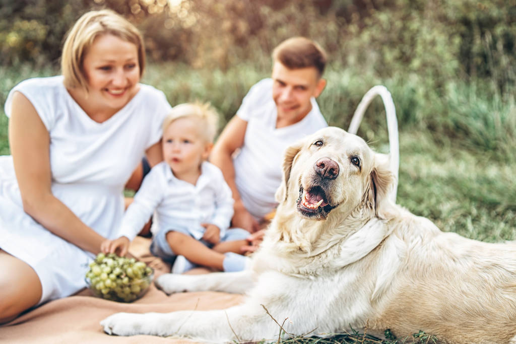 Mladá hezká rodina s pes odpočívat na piknik na louce  - Fotografie, Obrázek