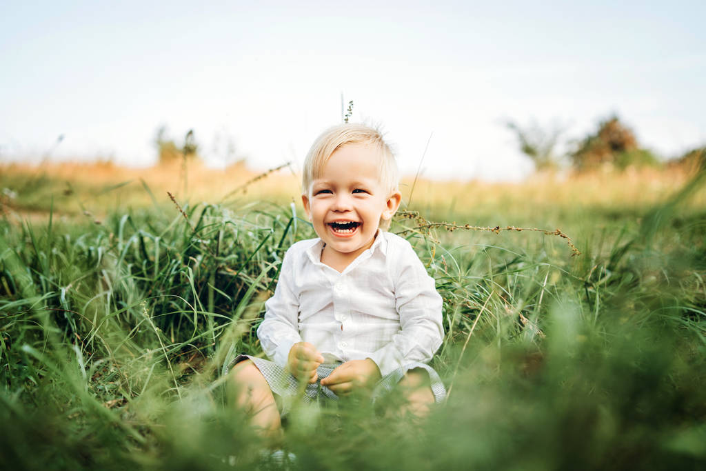 gülümseyen ve güneşli gün çayır üzerinde oturan mutlu sevimli küçük oğlu - Fotoğraf, Görsel