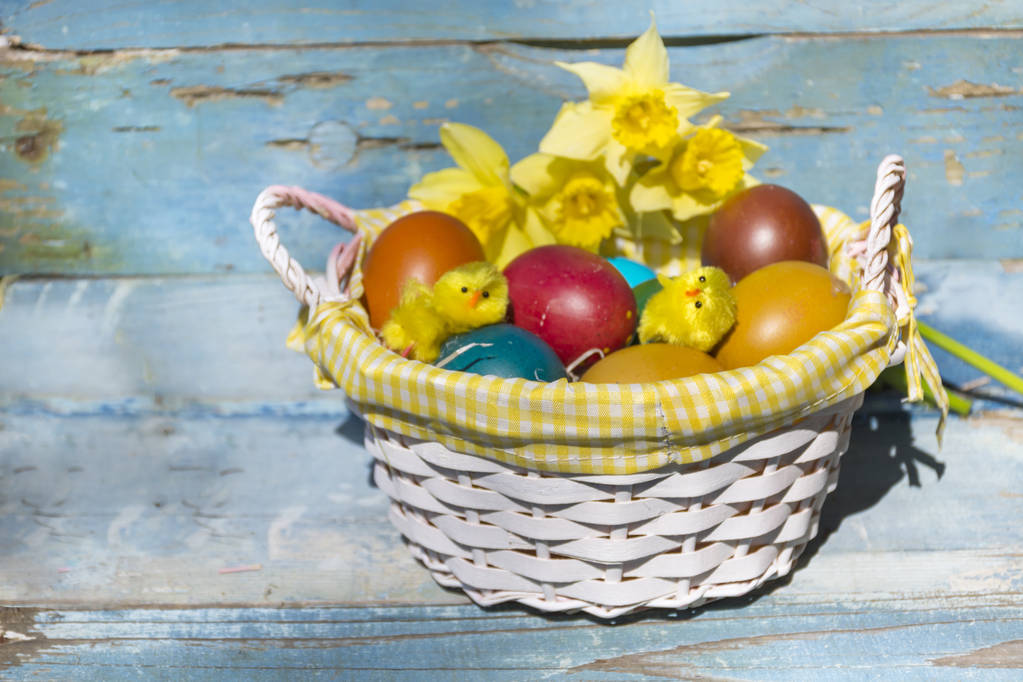 colorful  easter eggs nd chickens in basket  on a blue wooden background  .Easter decoration - Photo, Image