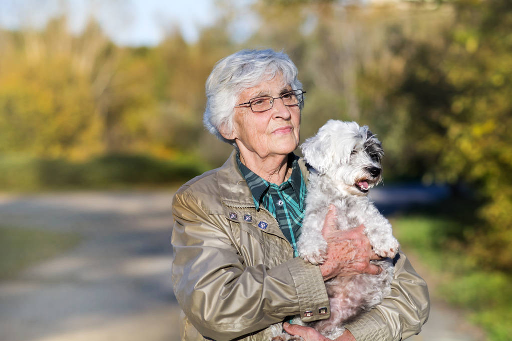 piękna kobieta senior przytulanie jej pieknego psa w parku jesień - Zdjęcie, obraz