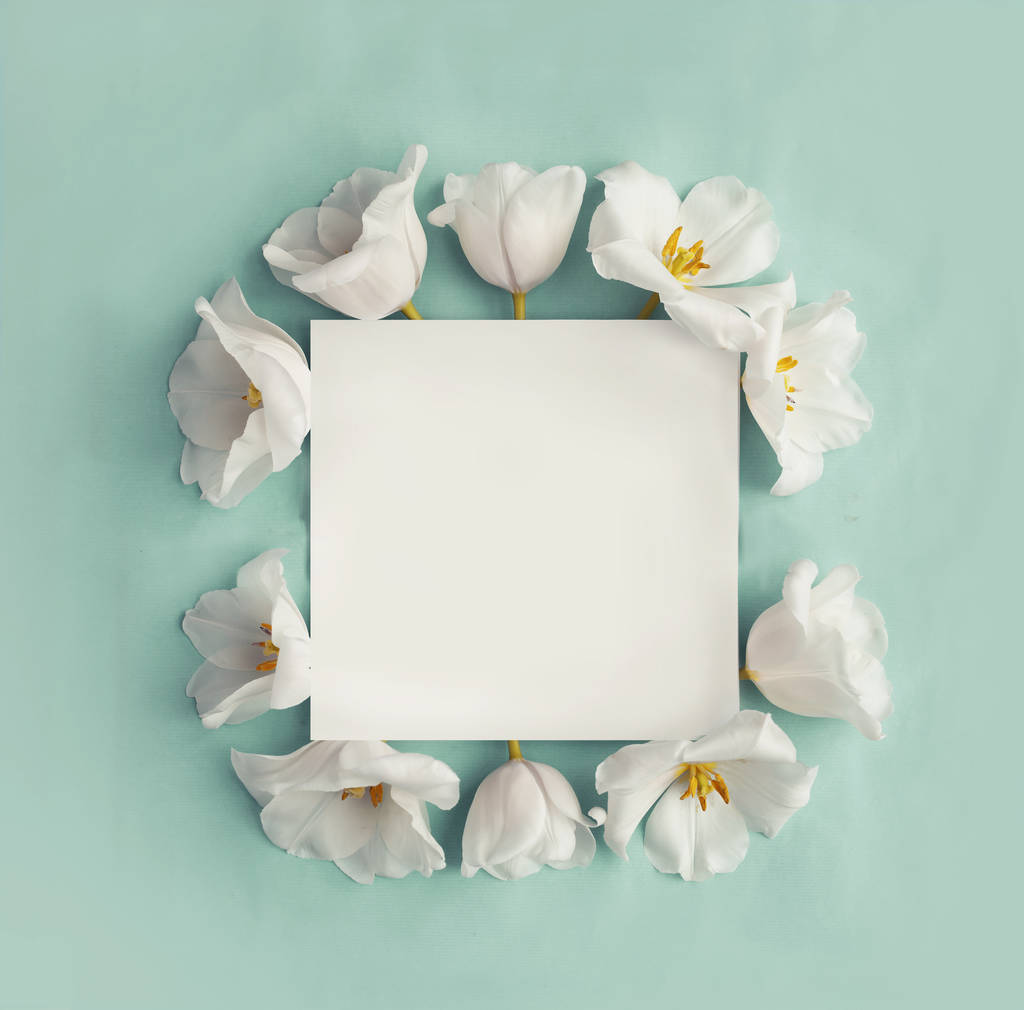 Λευκά λουλούδια με αντίγραφο χώρου σε μπλε φόντο - Φωτογραφία, εικόνα