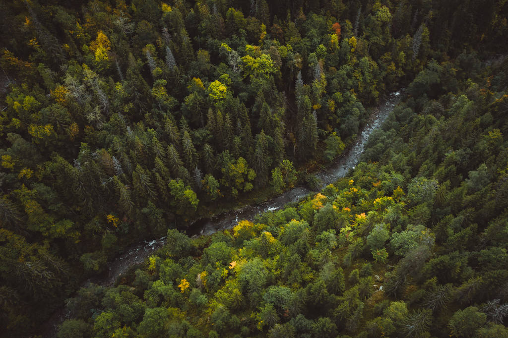 Осенний лес виден с дрона на севере
 - Фото, изображение