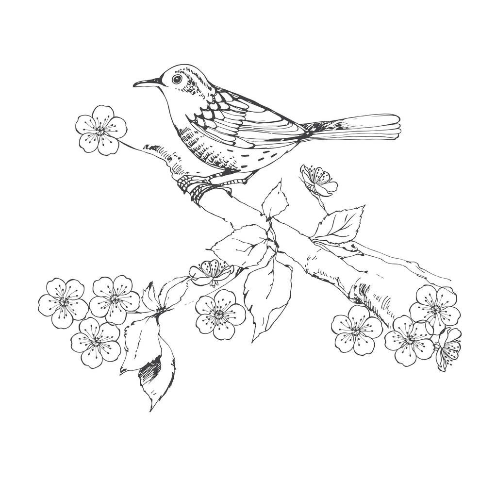 Ptak na gałęzi kwitnienia. Ręcznie rysowane design. - Wektor, obraz