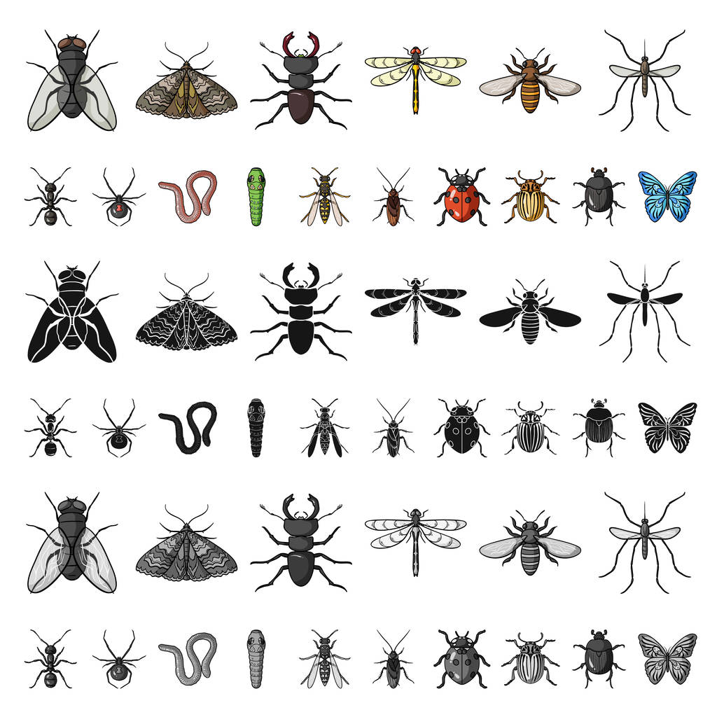 Különféle rovarok ikonok beállítása gyűjtemény, design rajzfilm. Rovar, ízeltlábú vektor szimbólum állomány honlap illusztráció. - Vektor, kép