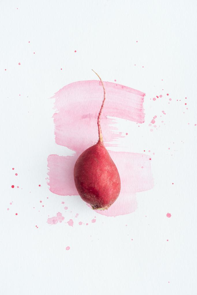 top view of single radish on white surface with pink watercolor strokes - Photo, Image