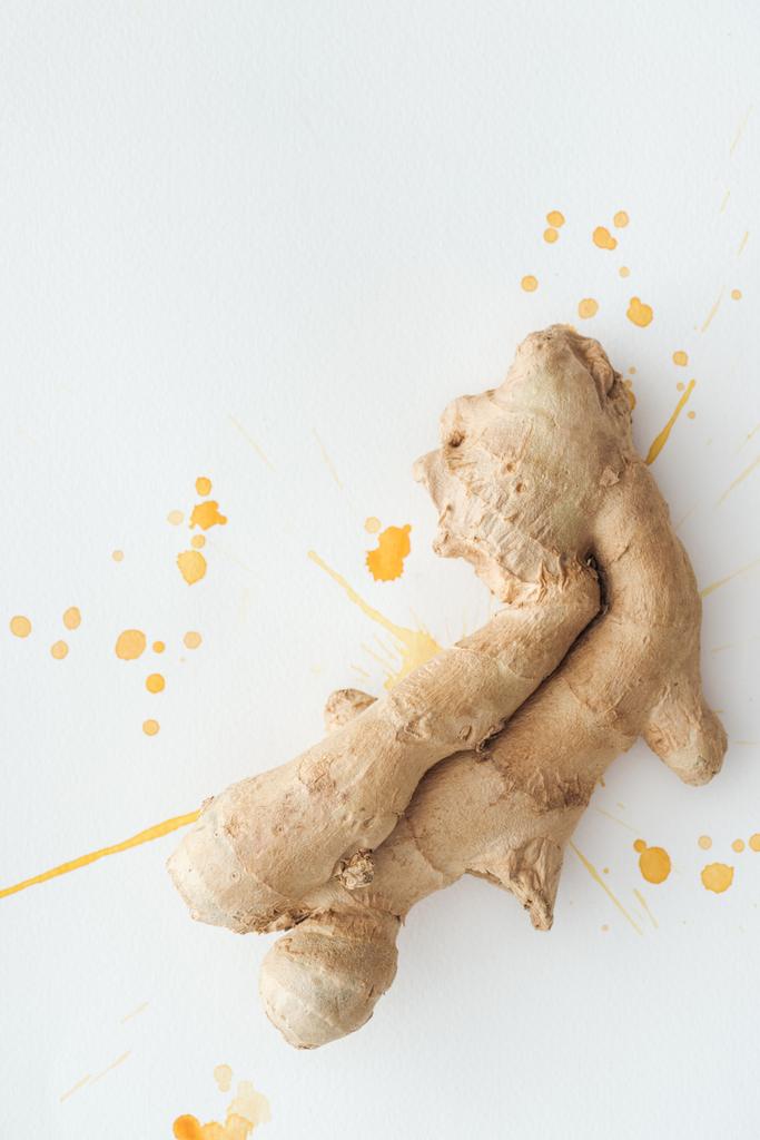 top view of ginger root on white surface with yellow watercolor blots - Photo, Image